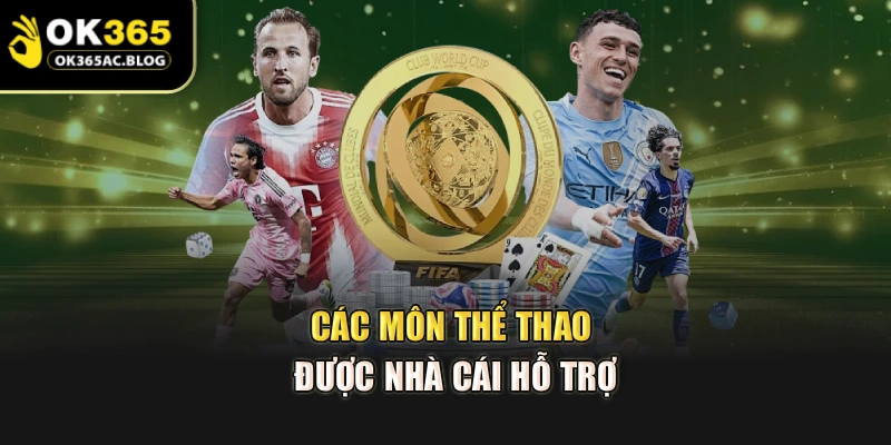 Các môn thể thao được nhà cái hỗ trợ