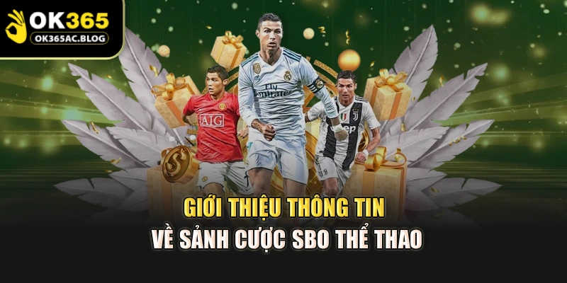 Giới thiệu thông tin về sảnh cược SBO thể thao