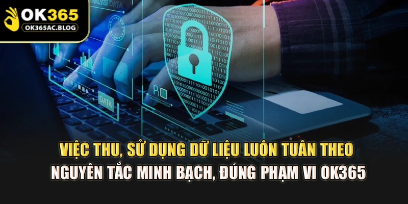 Việc thu, sử dụng dữ liệu luôn tuân theo nguyên tắc minh bạch, đúng phạm vi OK365